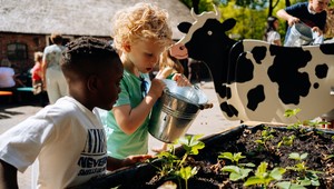 Nederlands Openluchtmuseum