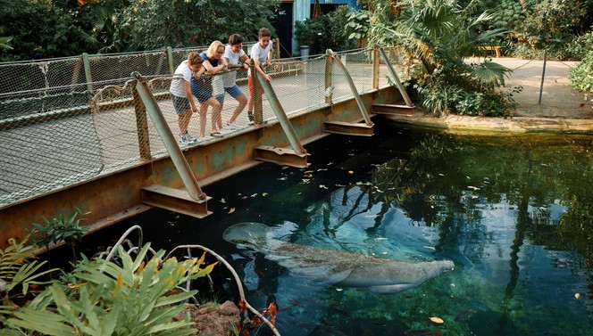 Geniet van dagje uit met het Burgers' Zoo Arrangement
