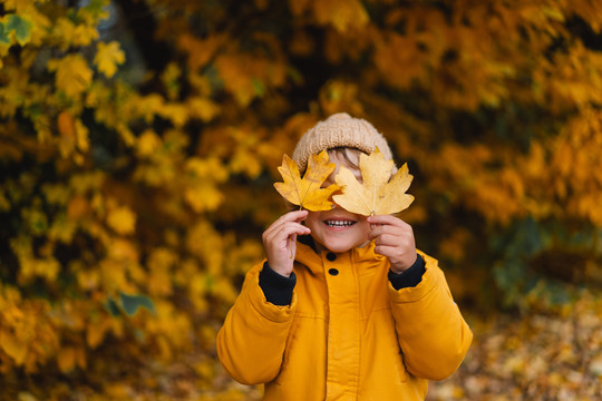 Ontdek de prachtige omgeving met het Heerlijk Herfst Arrangement