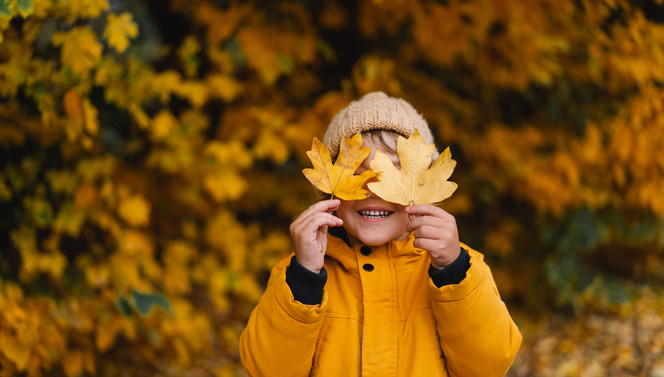 Ontdek de prachtige omgeving met het Heerlijk Herfst Arrangement