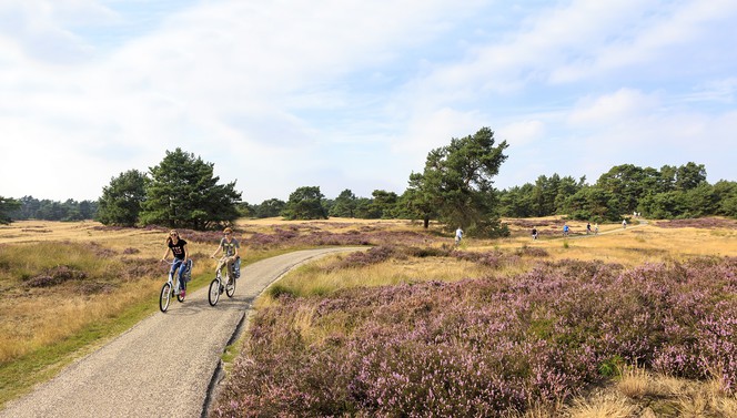 Hotel Arnhem is located in the middle of the Veluwe, making it the perfect base for cyclists and walkers