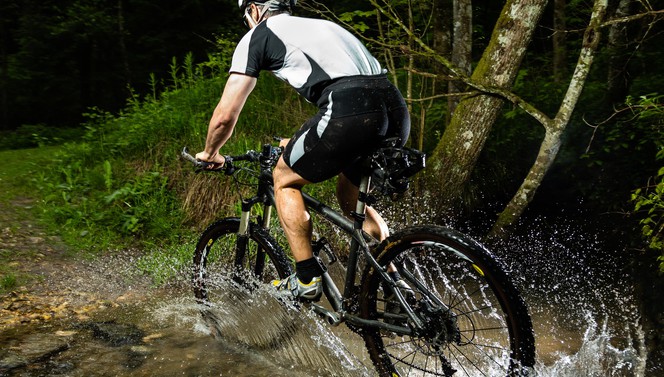 Entdecken Sie die Veluwe während des Mountainbike-Pakets