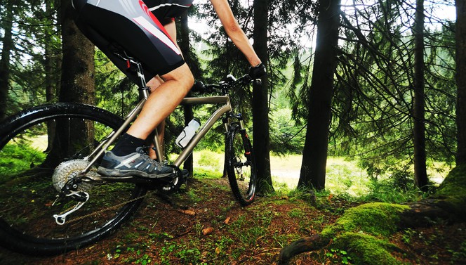 Entdecken Sie die Veluwe während des Mountainbike-Pakets