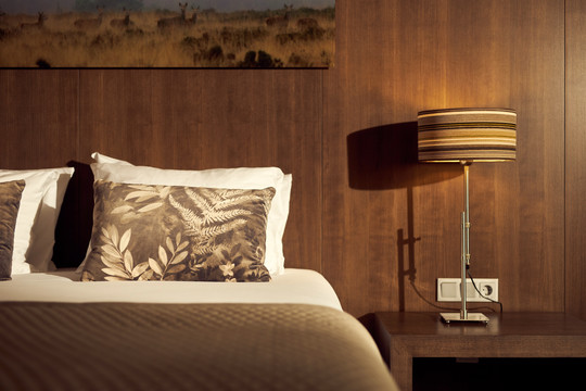 Onze Comfort Deluxe kamer is van alle benodigde faciliteiten voorzien