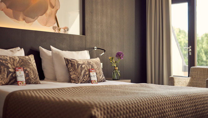 Relax in our Standard room