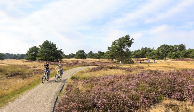 Nationalpark De Hoge Veluwe