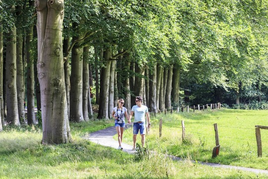 Fietsen en wandelen