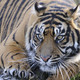 Burgers' Zoo